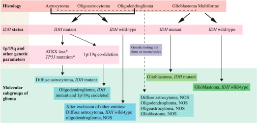 Figure 2. 2016 WHO classiﬁ cation for diffused gliomas using histological and genetic features (16).