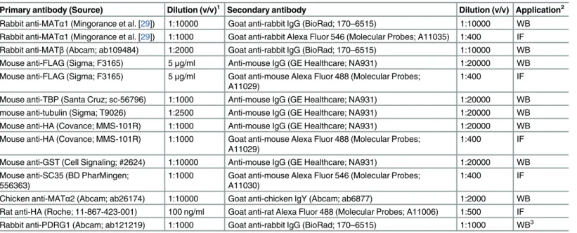 Table 1. Antibodies used in this work.
