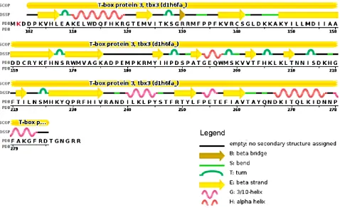 Figure 1.3.1 – TBX3 Protein Sequence Secondary Structure.  