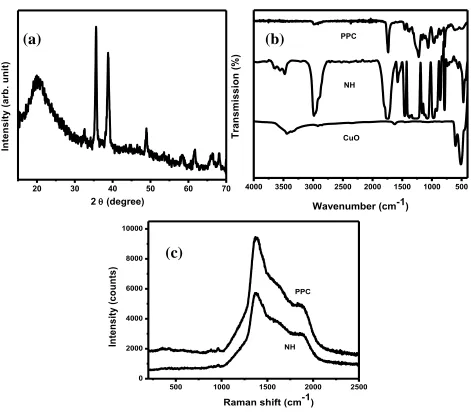 Figure 3. Powder XRD patterns (a), FT-IR spectra (b) and Raman spectra (c) of PPC and NC