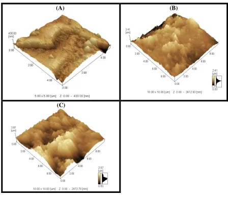Figure 2. A)  FE-SEM of CCG, B) and D) FE-SEM of GC/PANI with magnification 2500 and 40000, respectively, C) and E) CG/CCG/PANI with magnification 2500 and 40000, respectively