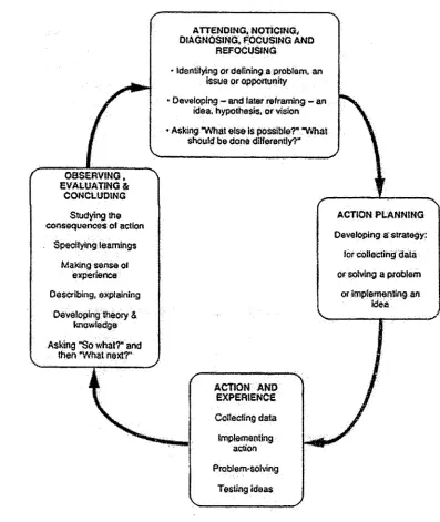 Figure 3: The action research cycle