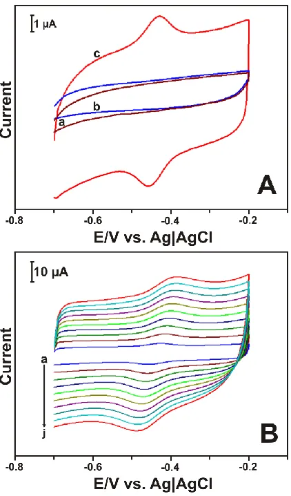 Figure 3.  (A) Cyclic voltammograms obtained at bare GCE/GOx (a), GO/GOx (b), and ERGO/GOx (c) film modified GCEs in deoxygenated PBS at 50 mV s−1scan rate