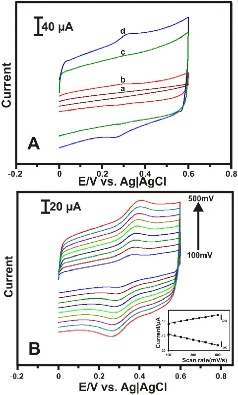 Figure 4. (A) Cyclic voltammograms obtained at bare GCE (a), ZnO (b), MWCNT (c) and MWCNT/ZnO/laccase  (d) film modified GCEs in deoxygenated PBS at 50 mV s−1scan rate