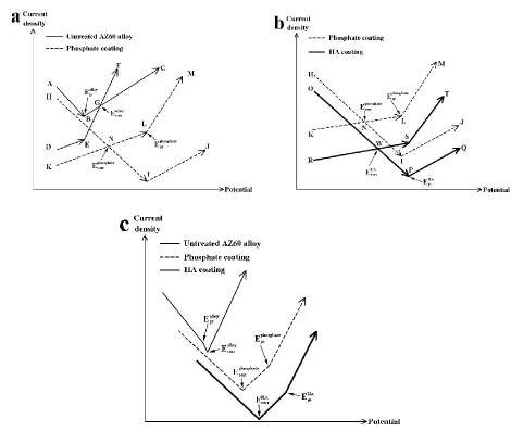 Figure 6. Schematic illustration of the theoretical polarisation behaviours. (a) (b) theoretically decomposed polarisation behaviours; (c) theoretically composed polarisation behaviours