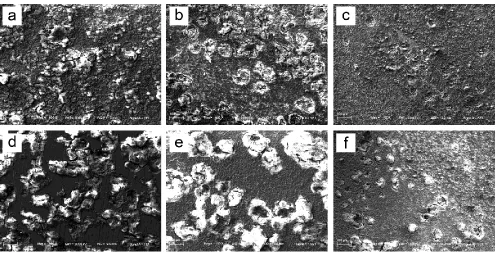 Figure 5. The surface morphologies of (a, d) untreated AZ60 alloy, (b, e) phosphate coating and (c, f) HA coating after the potentiodynamic polarisation measurements in (a-c) 3.5wt% NaCl solution and (d-f) SBF, respectively