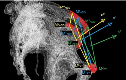 Fig. 2. Schematic diagram of the APP iteration. Automatically searching the most anterior point on the landmarks (red), markers are modified from M  to 0M (yellow 2� blue � green) within a few steps