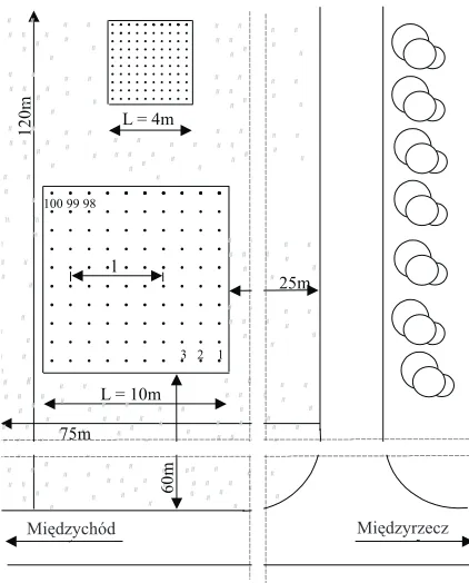 Fig. 3. Measurement of infiltration rate and placement of the cylin-der for soil bulk density determination.