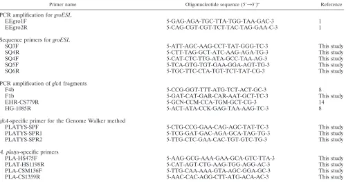 TABLE 1. Oligonucleotide sequences of primers used in this study