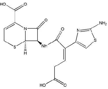 Figure 1 Structure of ceftibuten (CBT) molecule 