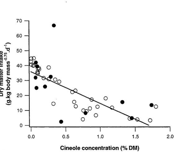 Figure 4. Relationship between dry matter intake of common ringtail possums fed polyanthemosEucalyptus  foliage (open circles), E