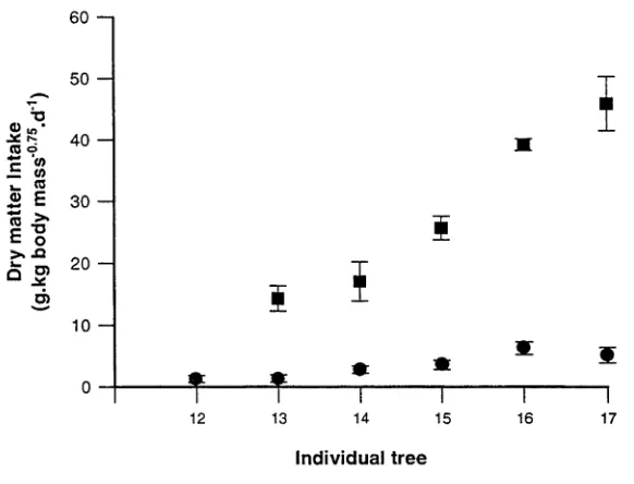 Figure 3. Voluntary intake of Eucalyptus viminalis foliage by common ringtail possums (•) and koalas (■ ) fed foliage from individual trees in no-choice experiments.Data are means ± std error for six animals for ringtail possums and five animals for koalas (see methods for full protocol)