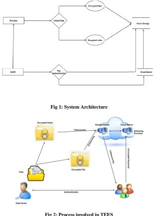 Fig 2: Process involved in TEES 