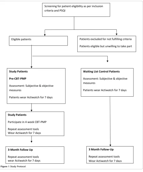 Figure 1 Study Protocol.