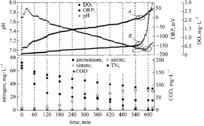 Figure 2-10. Typical pH, ORP and pH profiles with nitrogen and COD in a typical cycle 