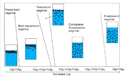 Figure 1.3 Flow regime map of the three-phase bubble column under the batch 