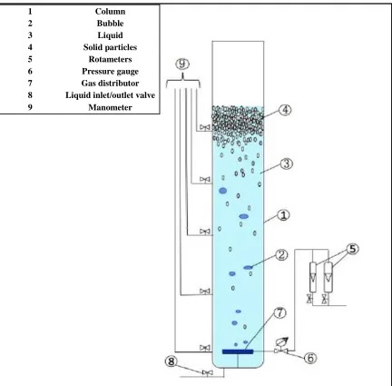 Figure 2.1 Configuration of the experimental setup of the inverse three-phase 