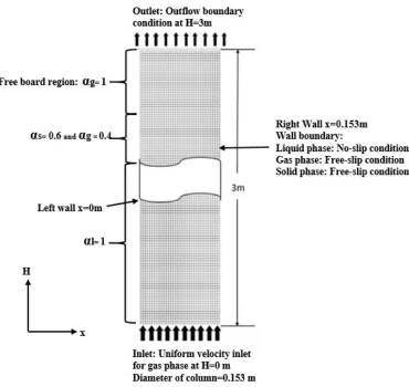 Figure 2.2 Computational domain of the inverse three-phase fluidized bed 