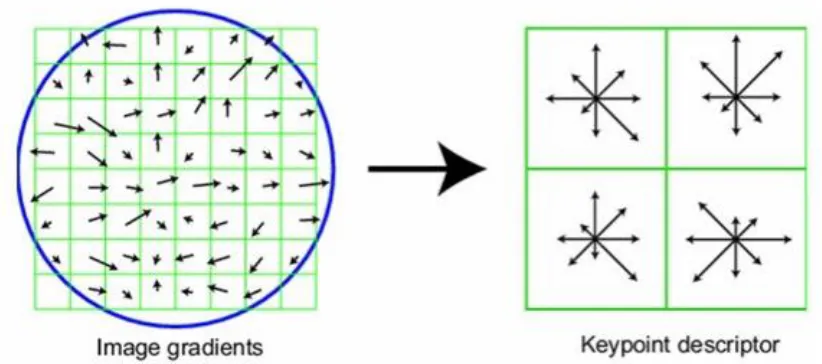 Figure 3.11 SIFT key point descriptor 