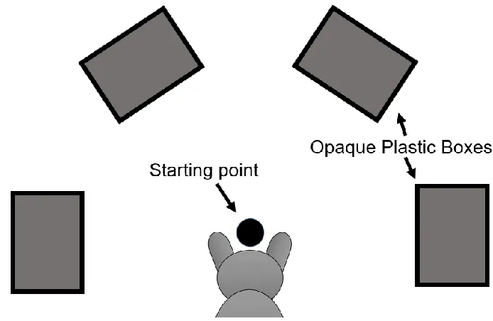 Figure 2.1: Representation of the semi-circle configuration of the testing apparatus, 