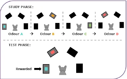 Figure 2.2: Sample trial in Experiment 1. 