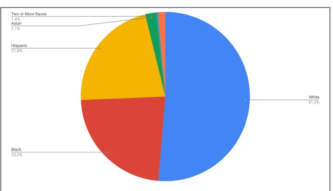 Figure 5 represents the demographic statistics for female secondary teachers.  This  includes all female teachers in the included districts