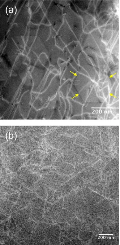 FIG. 7. Annular dark ﬁeld STEM images of the (a) LT sample and (b) HTsample. Hexagonal defects were only found in the LT sample but not the HTsample
