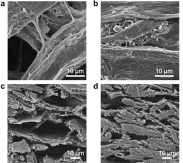 Fig. 2. SEM images of: (a) paper surface after cross-linking, (b) un-crosslinked paper, (c) electrode crosssection after cross-linking, (d) un-crosslinked elec-trode cross section.