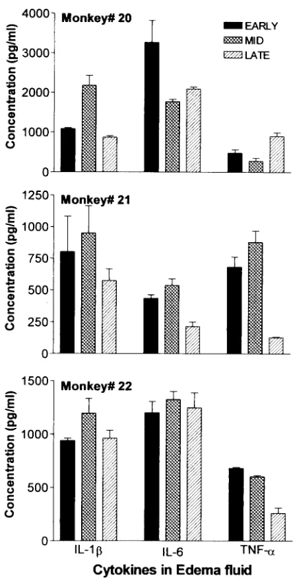 FIG. 1. Cytokines in edema ﬂuid of symptomatic B. malayiIndian leaf monkeys (-infectedP