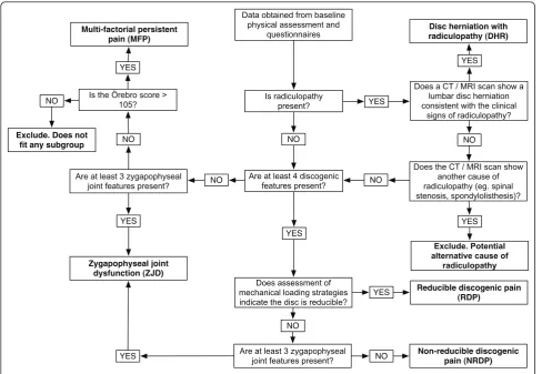 Figure 2 Decision rule algorithm for classifying participants into subgroups