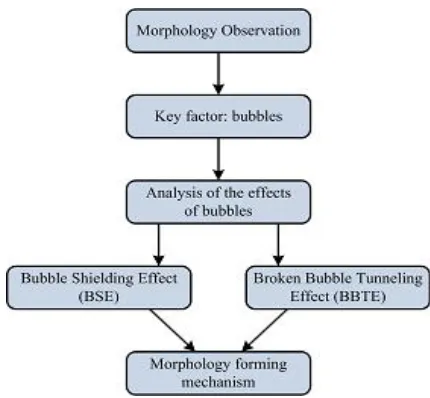Figure 2. Schematic of study flow  