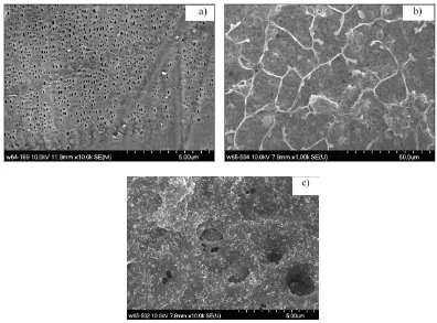 Figure 1. SEM images of (a) PP/PE/PP film, (b) dried composite polymer film (low magnification) and (c) dried composite polymer film (high magnification) 