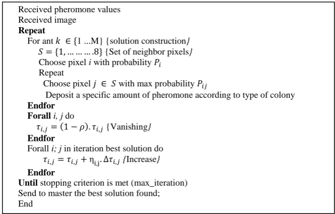 Fig. 3 The Multi Ant Colony algorithm 