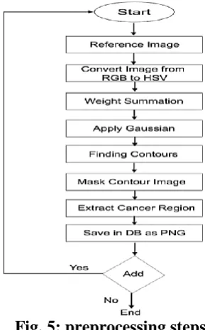 Fig. 6: the Original Acquired Image 