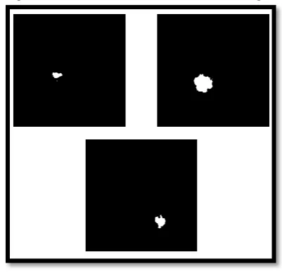 Fig. 10: the Results of Applying Summation on the Images Resulted from the Previous Step  