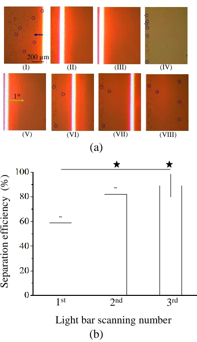 Figure 5. (a) Demonstration of ODEP force-based cell sorting scheme: the sequential microscopic images: (I)-(IV) A light bar (moving velocity: 67.3 µm s-1) was utilized to drag, and thus cluster the all loaded cells to one side of the micro-chamber; (V)-(V
