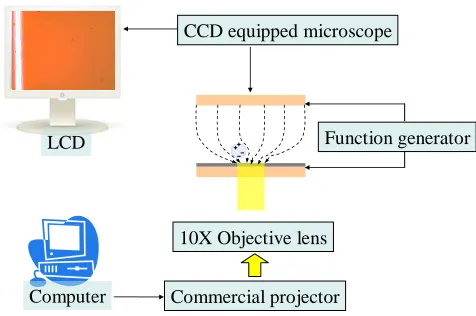 Figure 2.  Schematic illustration of the overall experimental setup 