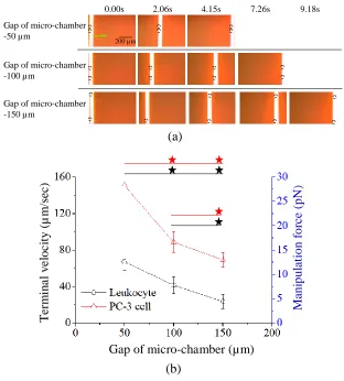 Figure 3.  (a) The sequential microscopic images of PC-3 cell movements driven by a moving light bar in the micro-chamber with different gap (50, 100, and 150 µm; set bar width of light image: 40 µm)