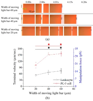 Figure 4.  (a) The sequential microscopic images of PC-3 cell movements driven by a moving light bar with different bar width (20, 40, and 60 µm; set micro-chamber gap: 50 µm)