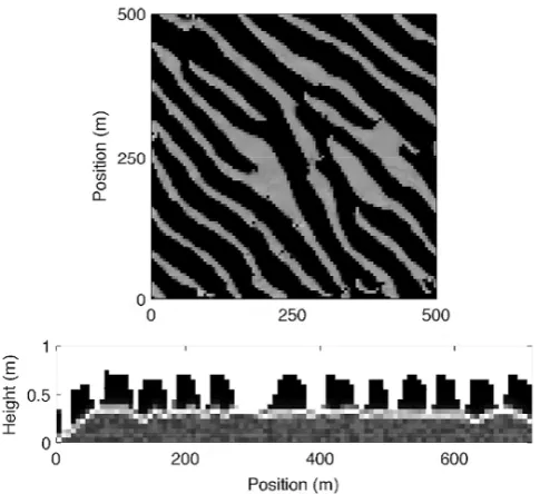 Figure 9. Plan view and proﬁle view of mode 1 sorted bedformsafter 50 days. Conditions are identical to Fig
