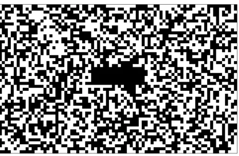 Figure 1: Example of screen. Every 250 ms, each 10 x 10 pixel square would change from black 