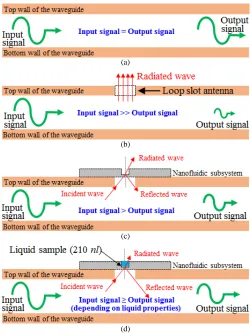 Fig. 1. The EM wave propagation (a) inside standard hollow WR-10  waveguide, (b) After integrating a single loop slot antenna into the top wall 