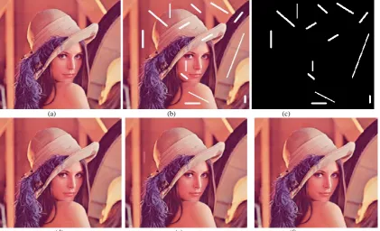 Figure 4 Inpainting of artificial lines on Lena’s image. (a): Clean image. (b): Damaged by putting artificial lines