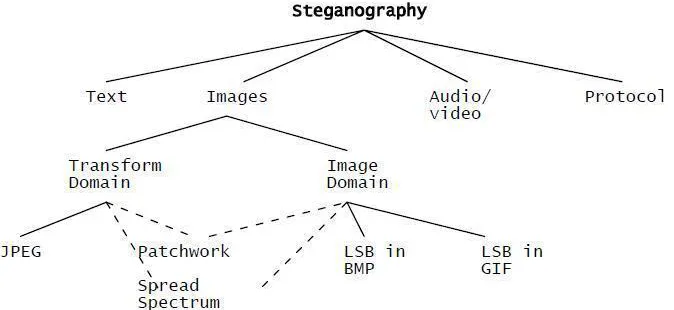 Figure 3: Categories of Steganography 