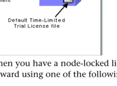 Figure 2-2.  Typical License Configuration for a Trial or Node-Locked License