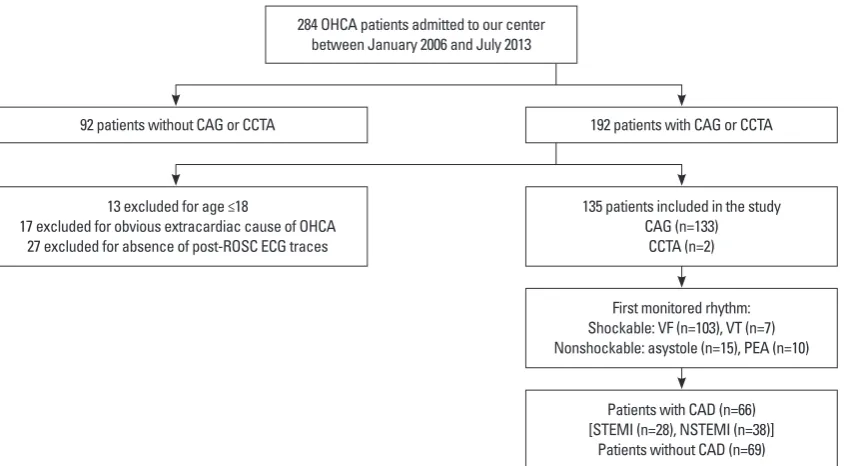 Fig. 1. Flow chart of OHCA patients included in the study. CAD, coronary artery disease; CAG, coronary angiography; CCTA, coronary CT angiography; ECG, electrocardiogram; NSTEMI, non-ST-segment elevation myocardial infarction; OHCA, out-of-hospital cardiac arrest; PEA, pulseless electrical activity; ROSC, return of spontaneous circulation; STEMI, ST-segment elevation myocardial infarction; VF, ventricular fibrillation; VT, ventricular tachycardia.