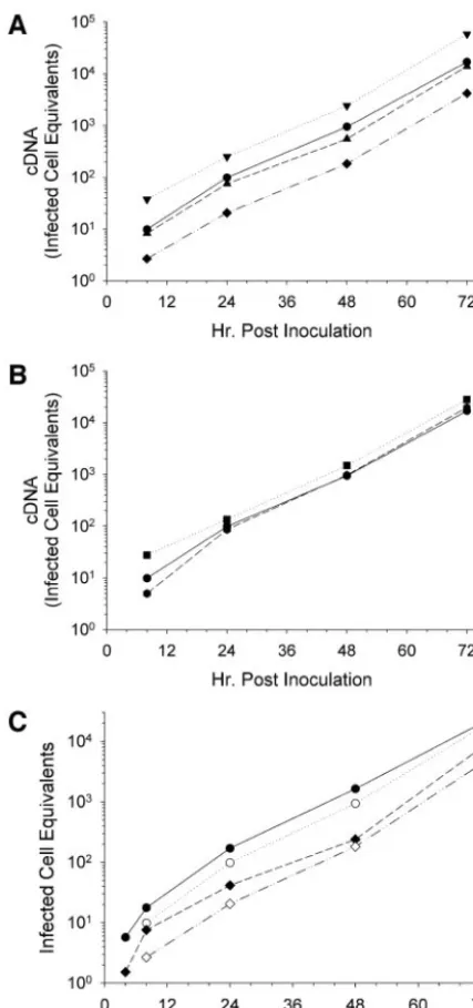 FIG. 5. �by complete HIV cDNA synthesis. HIV-Defensins do not affect reverse transcription as measured was incubated for 1 h at