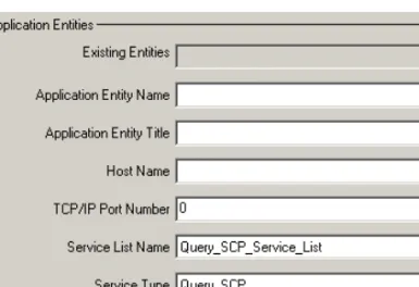 Figure 2-2: Defining a New Application Entity
