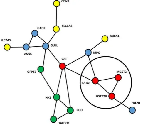 FIGURE �� STRINGinteractions for 9- month acclimated intertidal animals. Transcripts represented by red circ�es are putative antioxidants� green circ�es� involved in the pentose shunt and carbohydrate metabolism; ye��ow� membrane transporters� b�ue� various functions� GAD� �neurotransmission�� ASNS �unfo�ded protein response�� GLUL �g�utamate metabo�ism�� MPO� �immune�� FBLN� �ce�� adhesion�� Transcripts invo�ved in g�utathiony�ation are grouped in the b�ack  output showing putative protein�protein circle