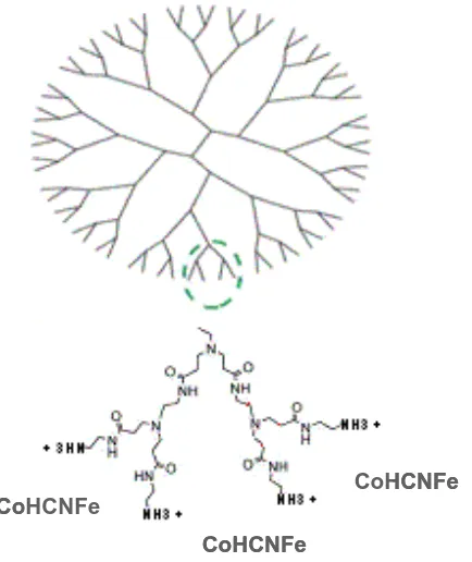 Figure 9.  Schematic representation of the synthesis of gel with PAMAM dendrimer G4.0 and cobalt hexacianoferrate (CoHCFe)